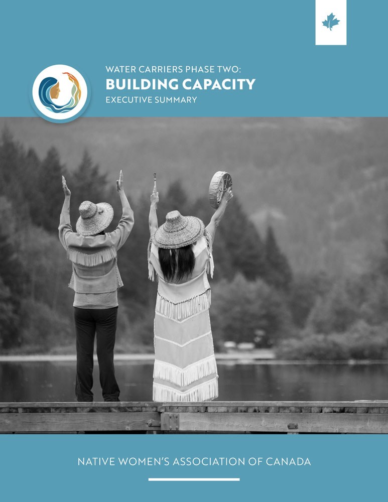 Emerging Themes: Water Carriers Phase 2 Building Capacity