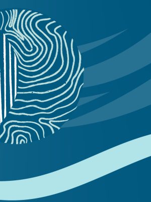 NWAC GENERIC WEB GRAPHICS 01